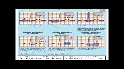 abnormal ekg results|what does a normal ekg look like.